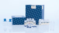 EndoFree Plasmid Mega Kit (5)