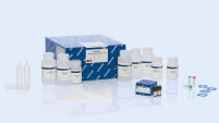 QIAGEN Large-Construct Kit