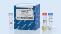 REPLI-g Mitochondrial DNA Kit
