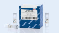 PyroMark Q96 CpG LINE-1 (2 x 96)