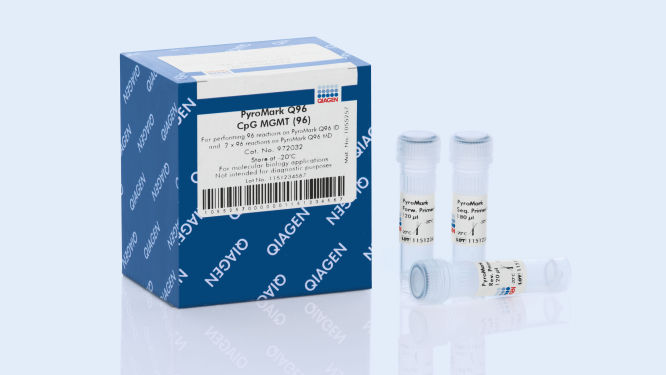 S_2754_PM_Q96_CpG_MGMT_Assay_s