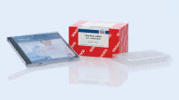 FlexiPlate siRNA, 0.1 nmol