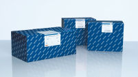Custom LNA Oligonucleotides