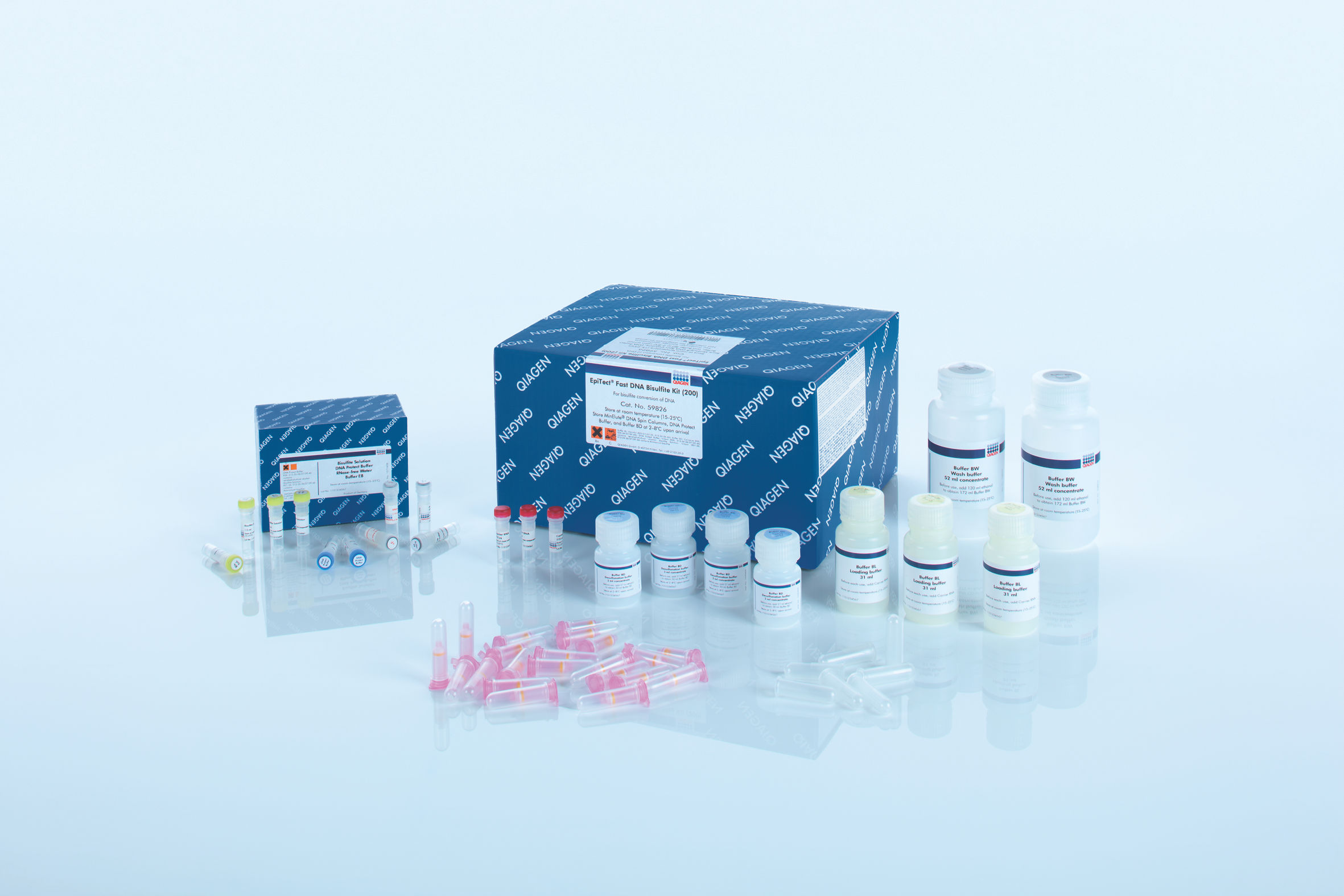 Qproteome FFPE Tissue Kit | FFPE Protein Extraction | QIAGEN