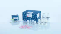 Qproteome FFPE Tissue Kit – Protein Extraction