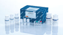 MagAttract HMW DNA Kit