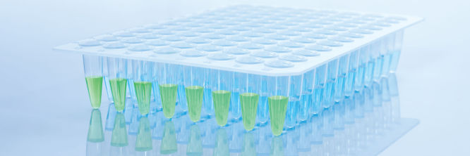 Real-time qPCR consumables