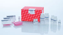 RNeasy 96 QIAcube HT Kit – Automated RNA Isolation