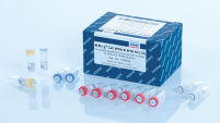 REPLI-g Cell WGA & WTA Kit (12)