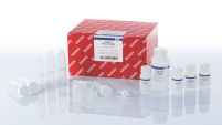 exoEasy Maxi Kit for Exosome Isolation
