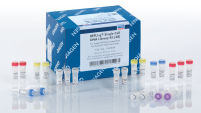REPLI-g Single Cell Kit (96)