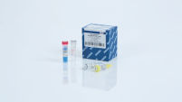 QuantiNova Multiplex PCR Kit (2500)