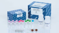 QIAseq miRNA Library Kit (96)