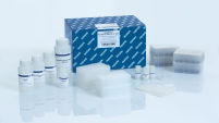 MagAttract PowerSoil DNA Kit