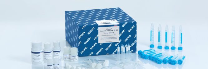 RNeasy PowerSoil Total RNA Kit