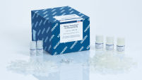 DNeasy PowerClean Pro Cleanup Kit