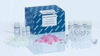 RNeasy PowerBiofilm Kit – RNA Extraction from Biofilm