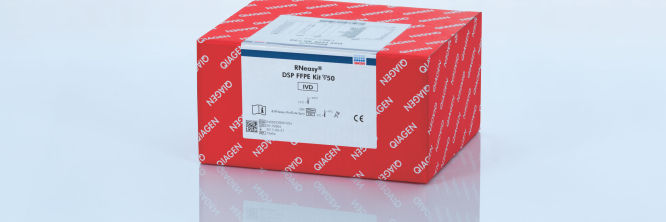 RNeasy DSP FFPE Kit