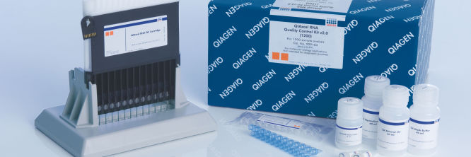 QIAxcel RNA QC Kit v2.0
