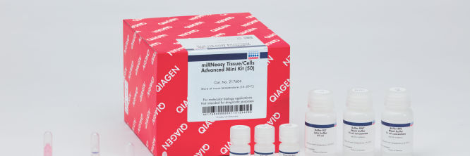 miRNeasy Tissue/Cells Advanced Kits | microRNA Prep | QIAGEN