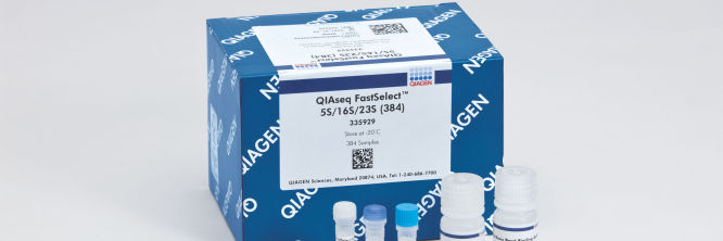 53号様　　専用 3_10_PanoramaImage.jpg