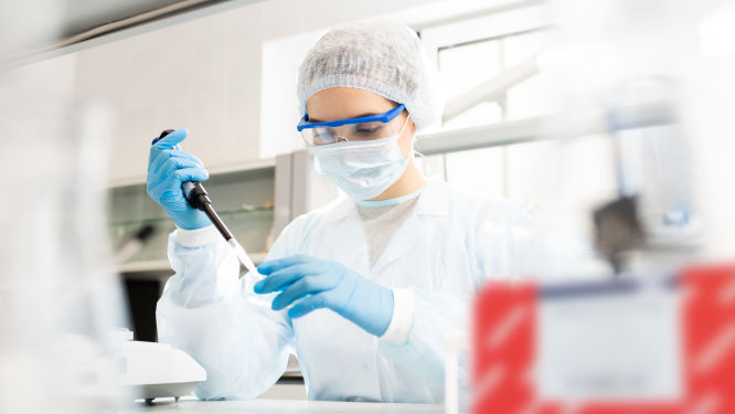High-Fidelity Reverse Transcriptase for RNA to DNA Conversion