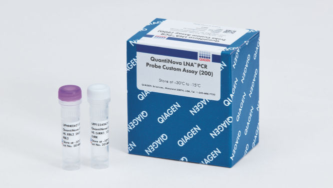S_9742_QuantiNova_LNA_Probe_PCR_Custom_Assay