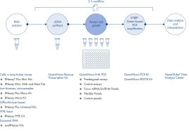 R・wmmさん専用ページ QuantiNova LNA PCR Focus Panels