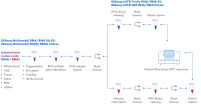 Figure 2 &ndash; Legend &ndash; Workflow for library preparation, target enrichment and sequencing