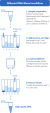 QIAmini DNA Blood workflow